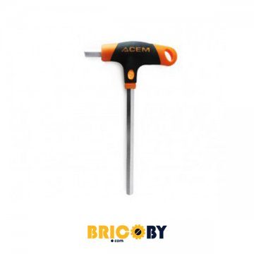 WWW.BRICOBY.COM  TOURNEVIS EN T MALE 6MM ACEM